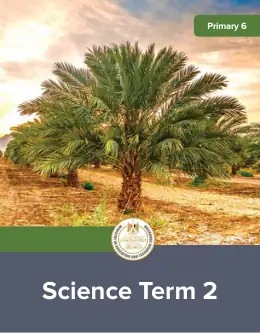 غلاف كتاب العلوم الصف السادس الابتدائي مصر